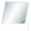 Delabie Kippspiegel mit ergonomisch langem Griff 600x500mm Dicke 6mm