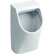 Geberit Renova Plan Urinal B32,5xH58xT30cm Zu- und Ablauf hinten weiß